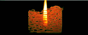 candle2.jpg