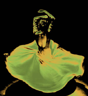 flamenco2.jpg